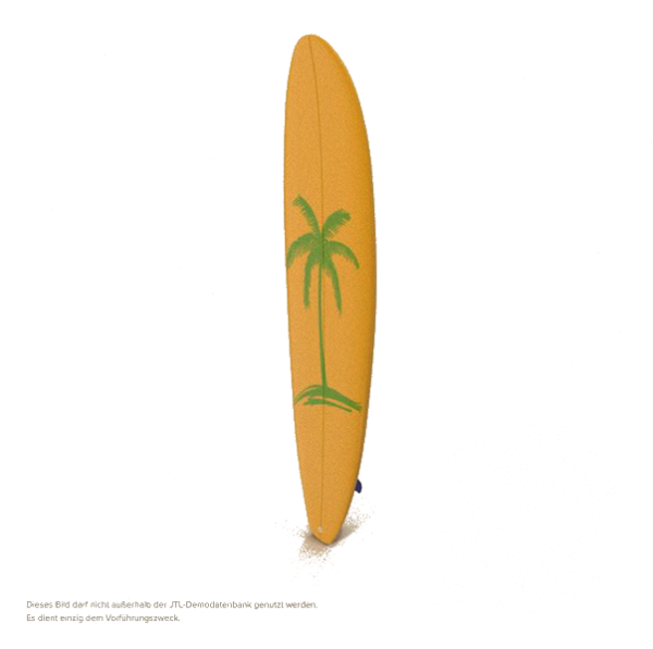Surfbrett
